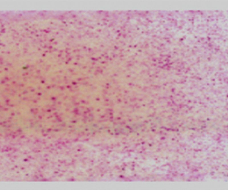 热变防伪纸/无碳纸