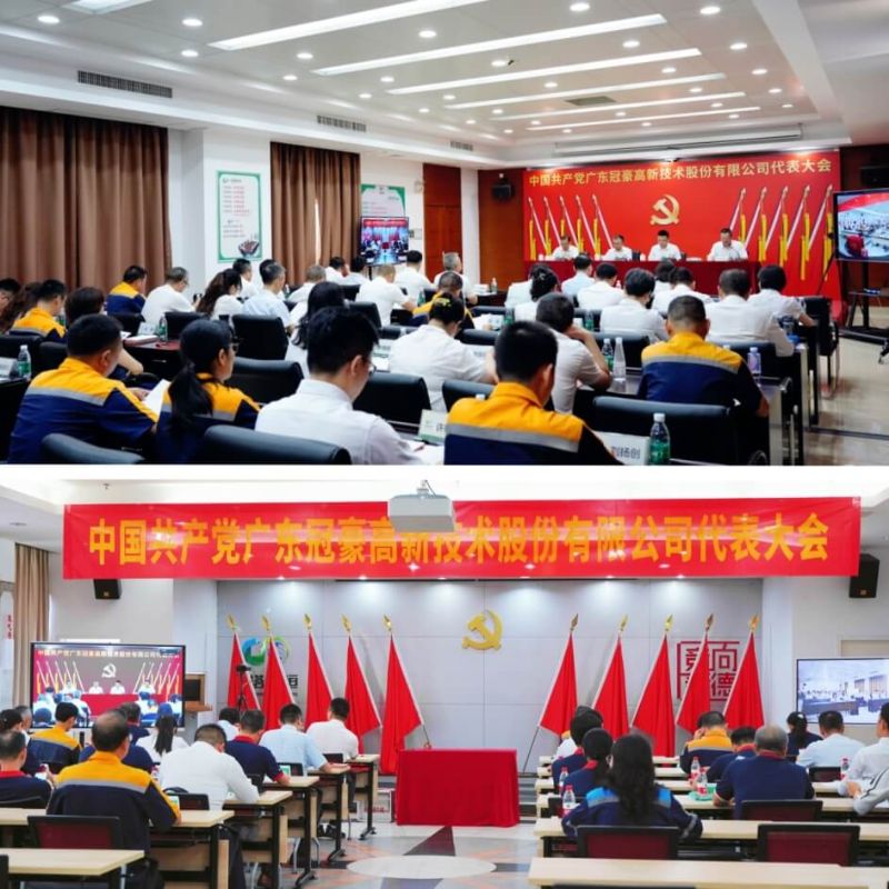 中国共产党402永利集团代表大会成功召开