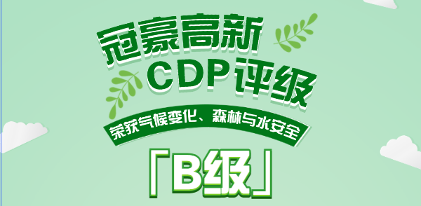践行绿色责任，引领永续将来！402永利集团蝉联CDP“B”级评级，稳居全球可持续发展当先行列